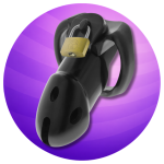 Chastity cages
