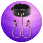 BDSM nipple clamps