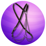 Bondage harnesses